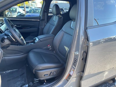 2024 Hyundai Santa Cruz Limited