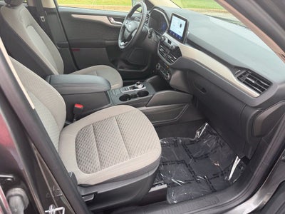 2020 Ford Escape Hybrid SE Sport