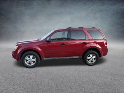 2011 Ford Escape XLT