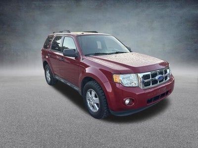 2011 Ford Escape XLT