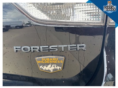2024 Subaru Forester Wilderness