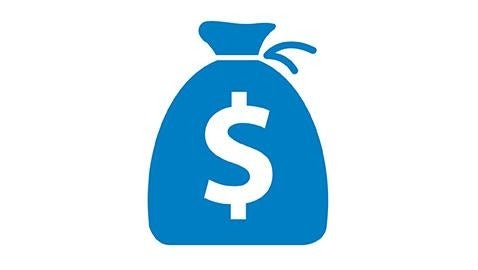 money bag icon